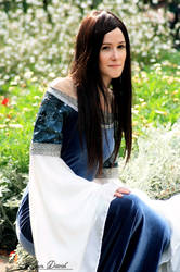 Arwen Requiem Dress LotR