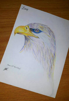 Colored Eagle