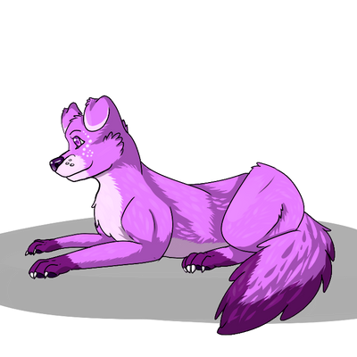 Purple doggy