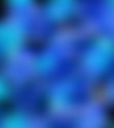 Secret. 00087