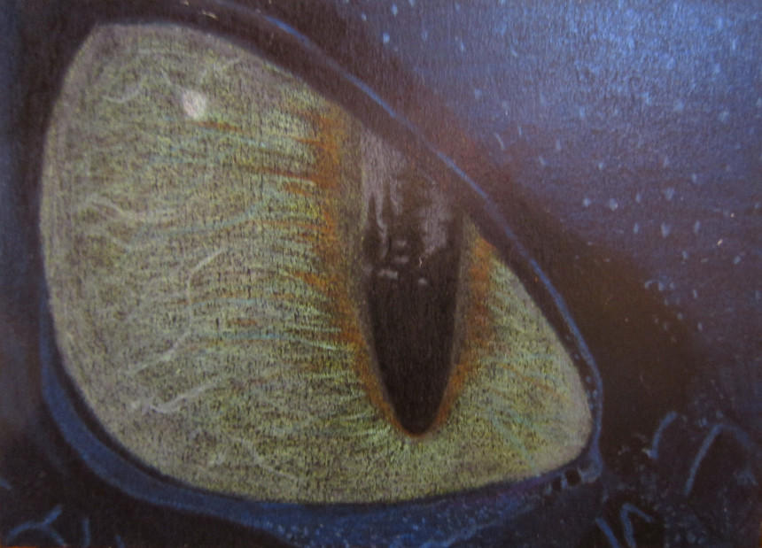 Eye of Toothless Glossed by SolarFelineArts on DeviantArt