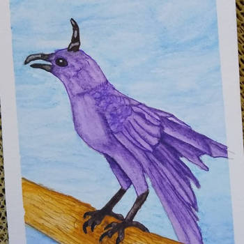 Purple Horned Crow