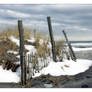 Snowy Beach