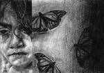 Butterflies by Skippy-s