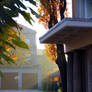 Free Stock Courtyard Entrance and Morning Sun