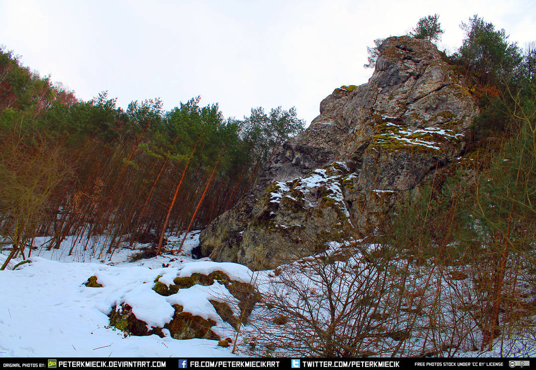 Free Stock Winter Mountains Forest Snow Rock Tree3 by PeterKmiecik on ...