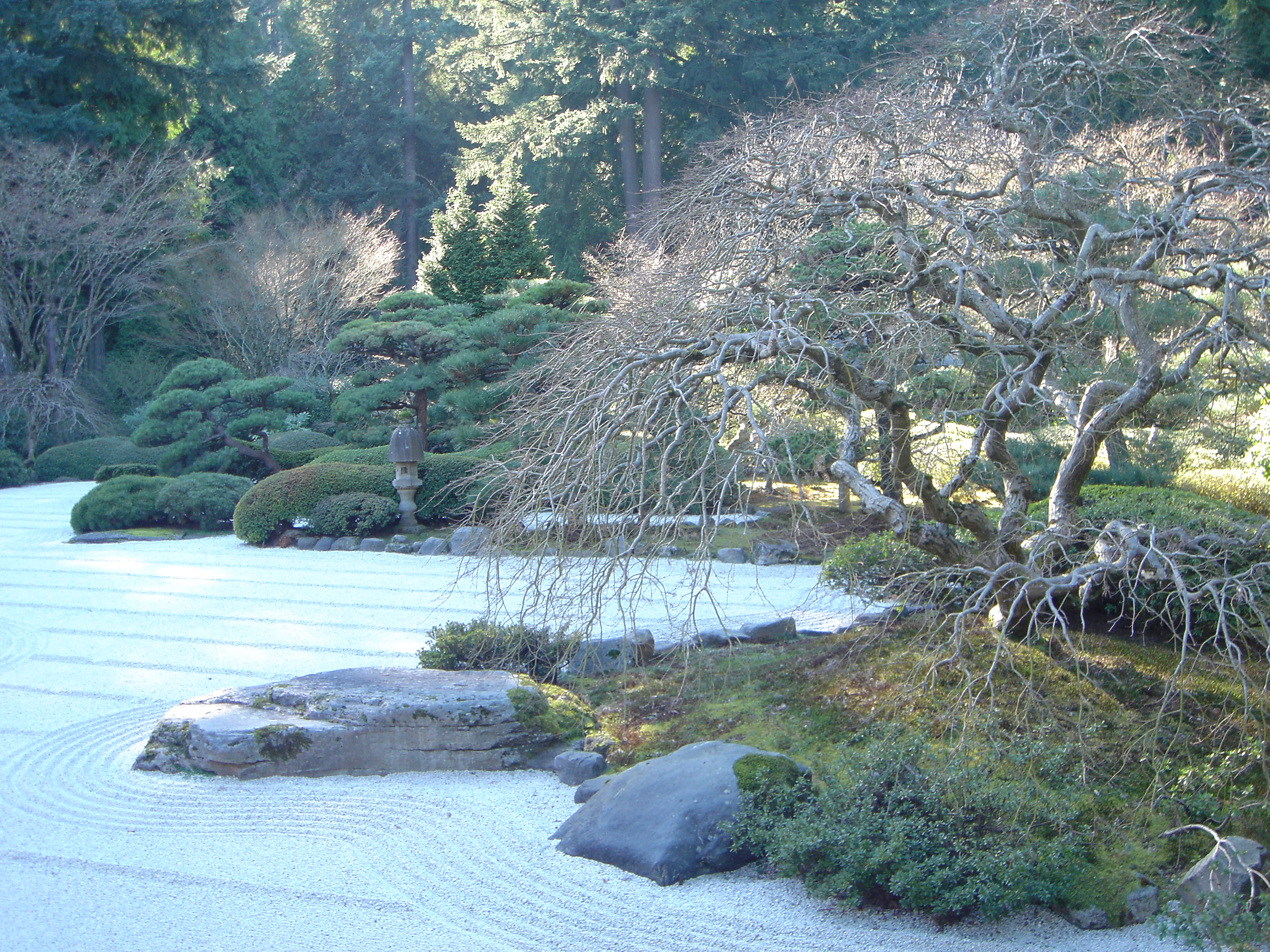 Zen Garden