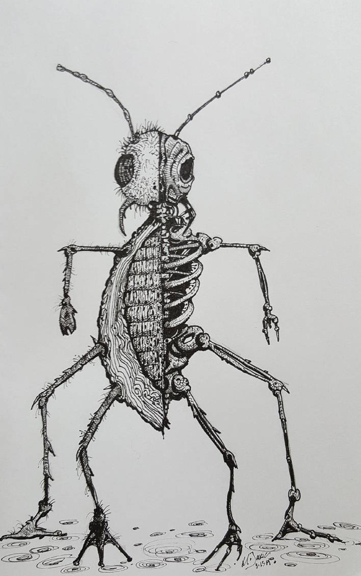 Insectoid Drawing Insectoid Anatomy 1A by MJART13 on DeviantArt