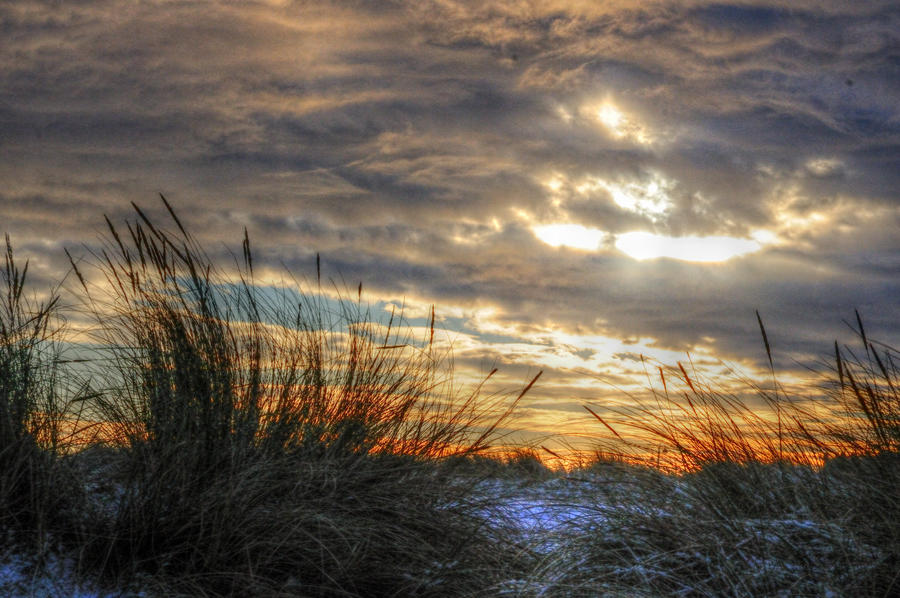 Christmas Dunes