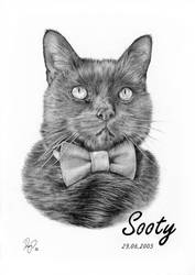 Commission: Sooty - The Black Cat With The Bowtie