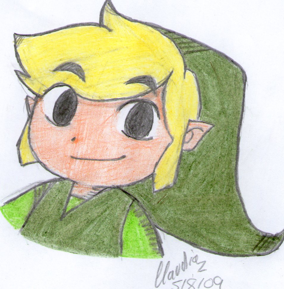 Toon Link Smiled