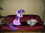 Twilight and Speckles