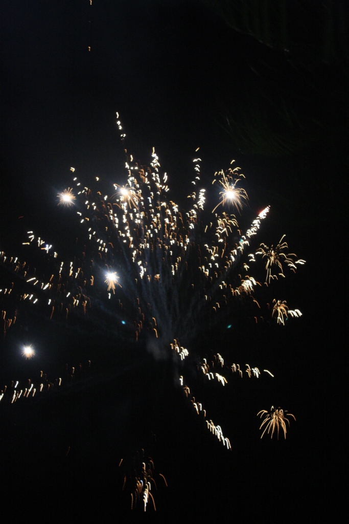 fireworks8