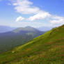 Alpine grasslands