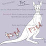 P2u - Kangaroo