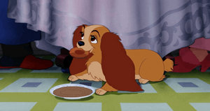 Lady eating a breakfast