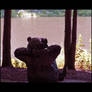 Riverside Bear