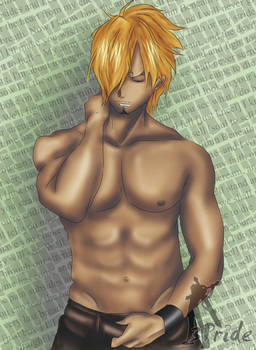 Sanji: I'm sexy and I know it