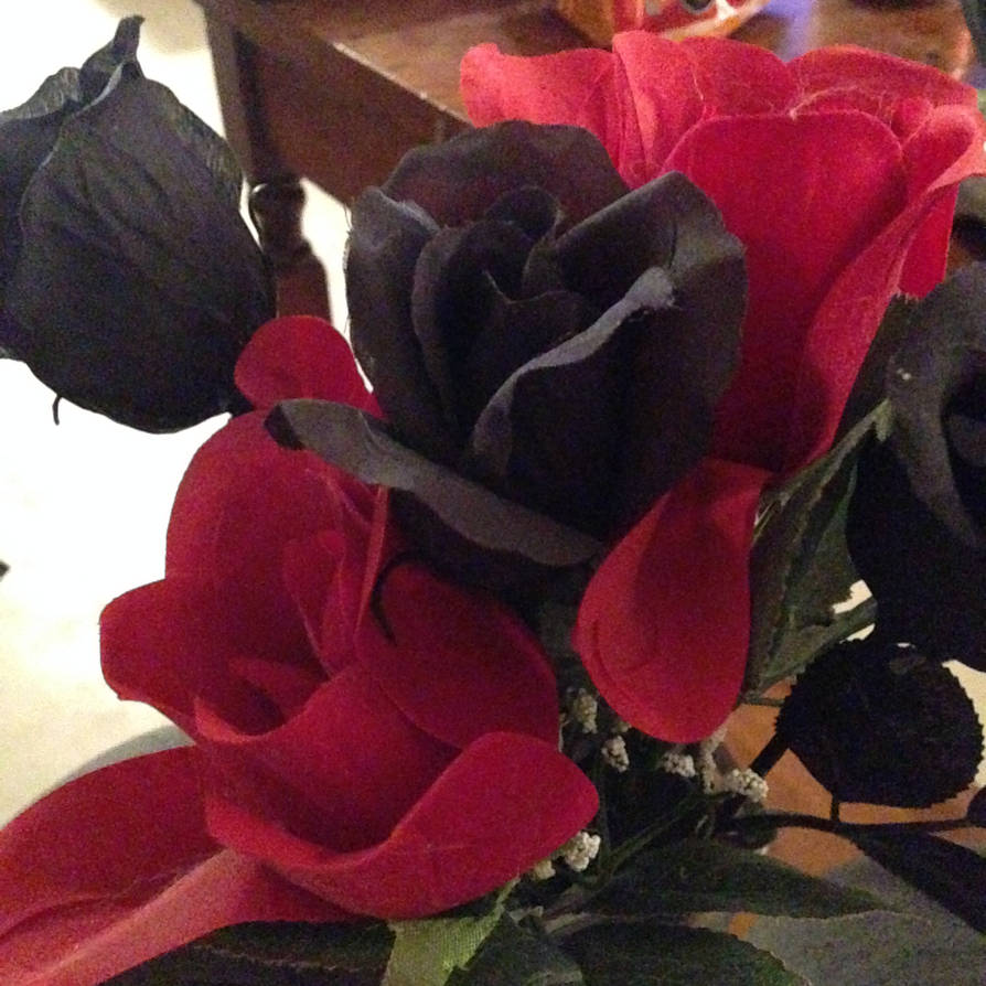 Fake Dark Red Roses Red and black roses (fake) by kagoyme on DeviantArt