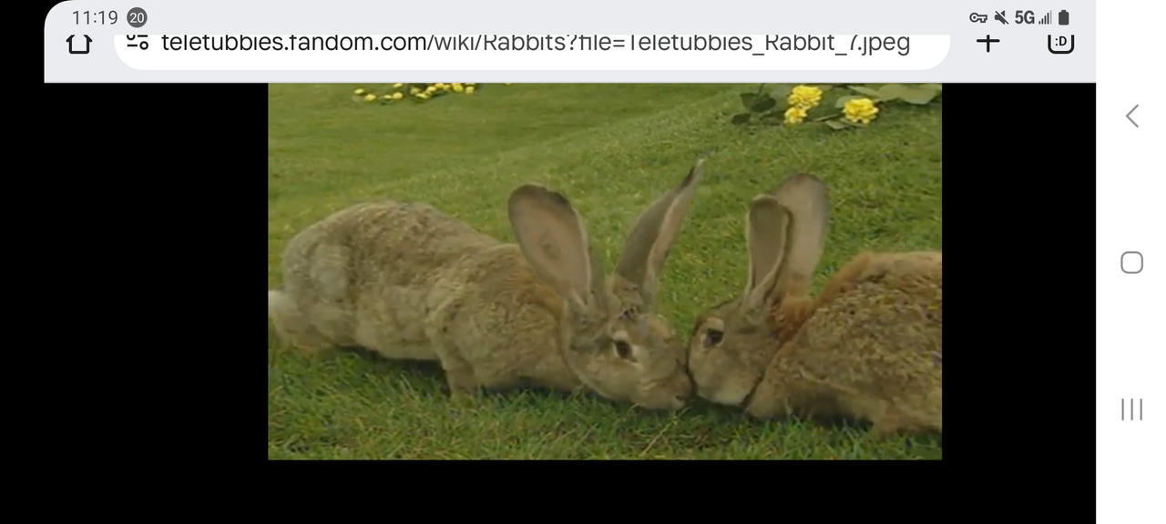 2 Bunnies Rabbits Kissing In Teletubbies!. by happycookie12345 on ...