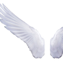 White Angel Wings 2 (7)
