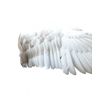 White Angel Wings 1 (3)