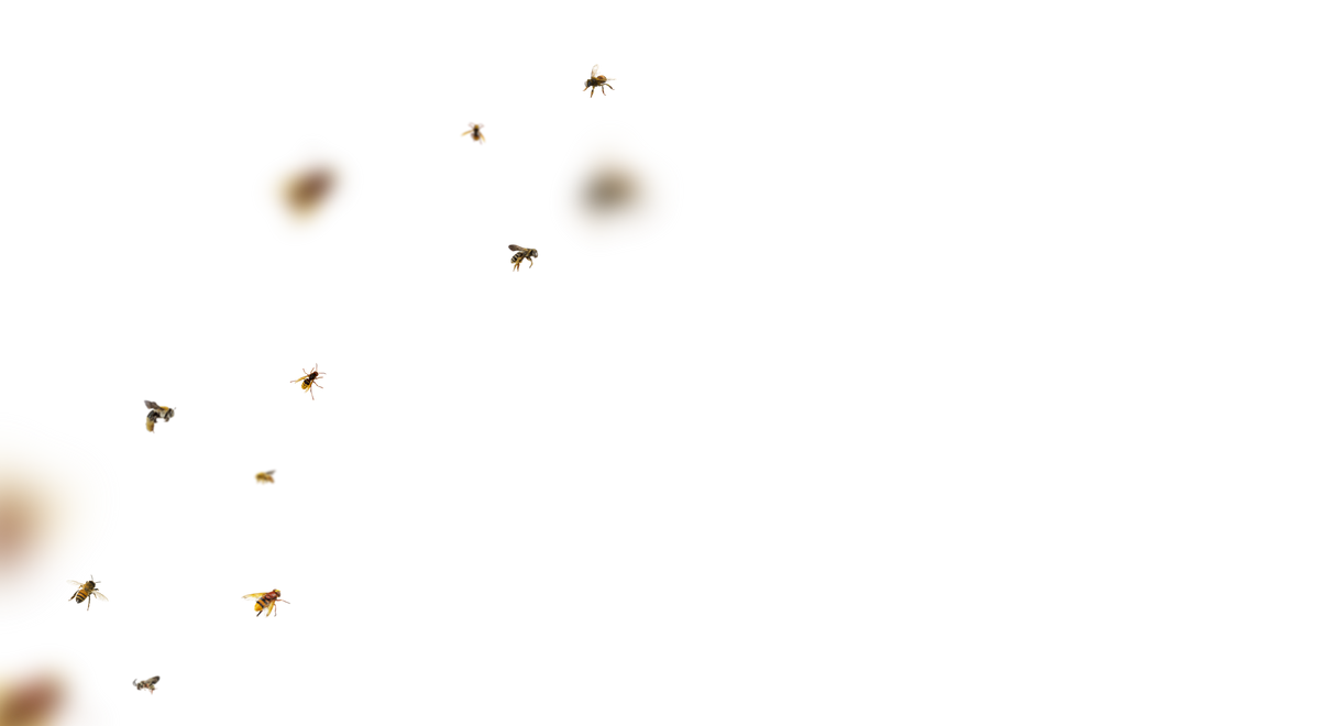 Bee Overlays 17 by bouzid27 on DeviantArt