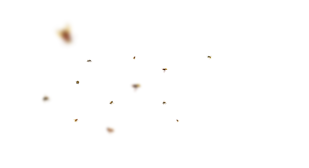 Bee Overlays 15 by bouzid27 on DeviantArt