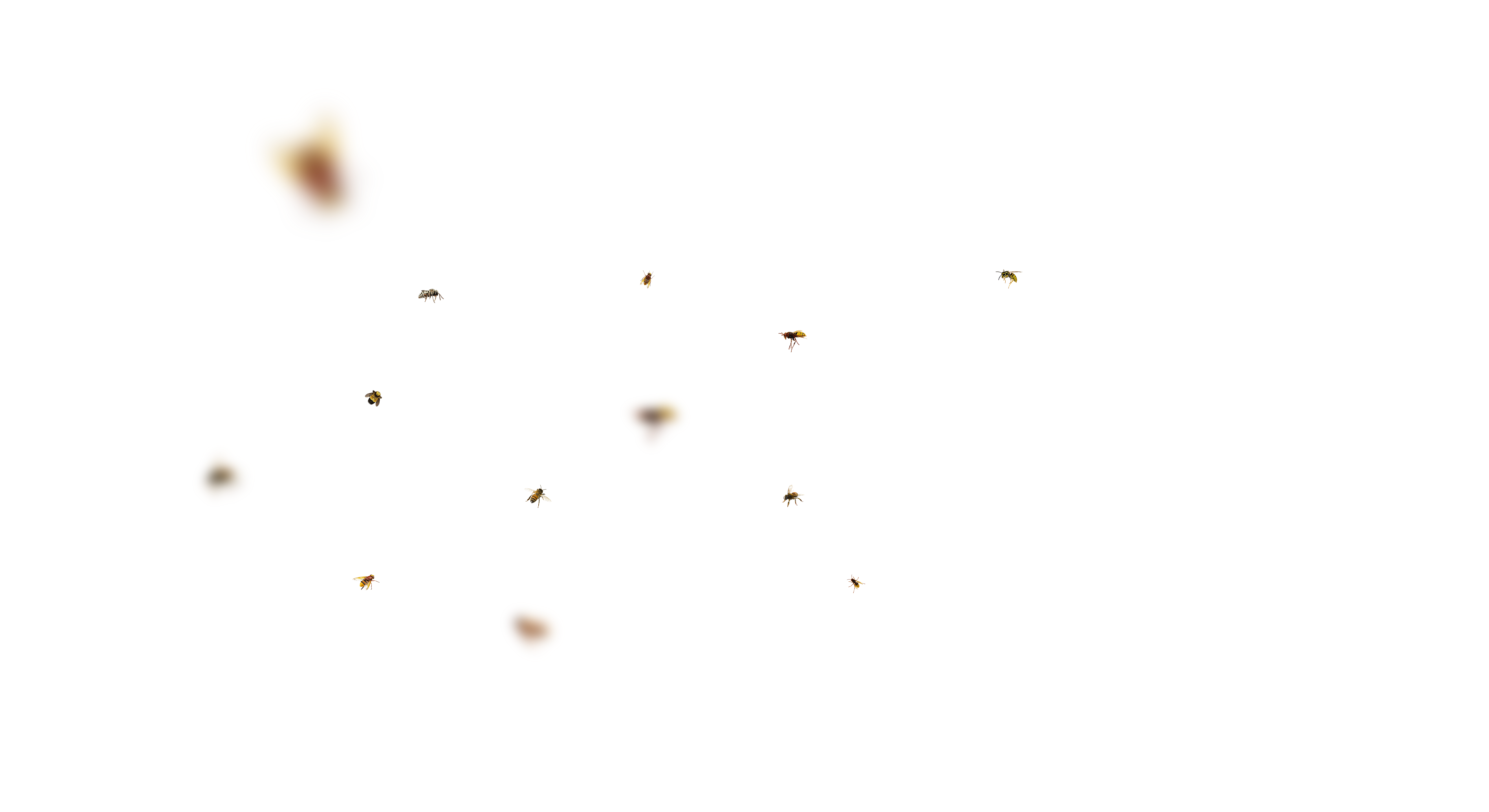 Bee Overlays 15 by bouzid27 on DeviantArt