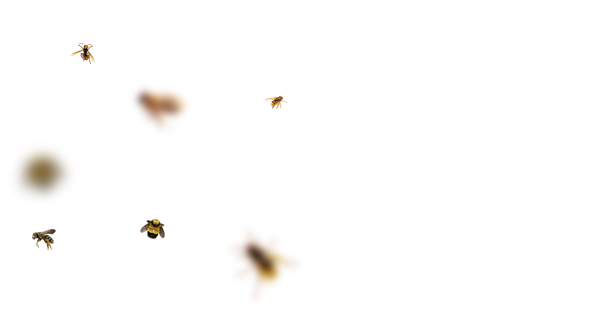 Bee Overlays 1 by bouzid27 on DeviantArt