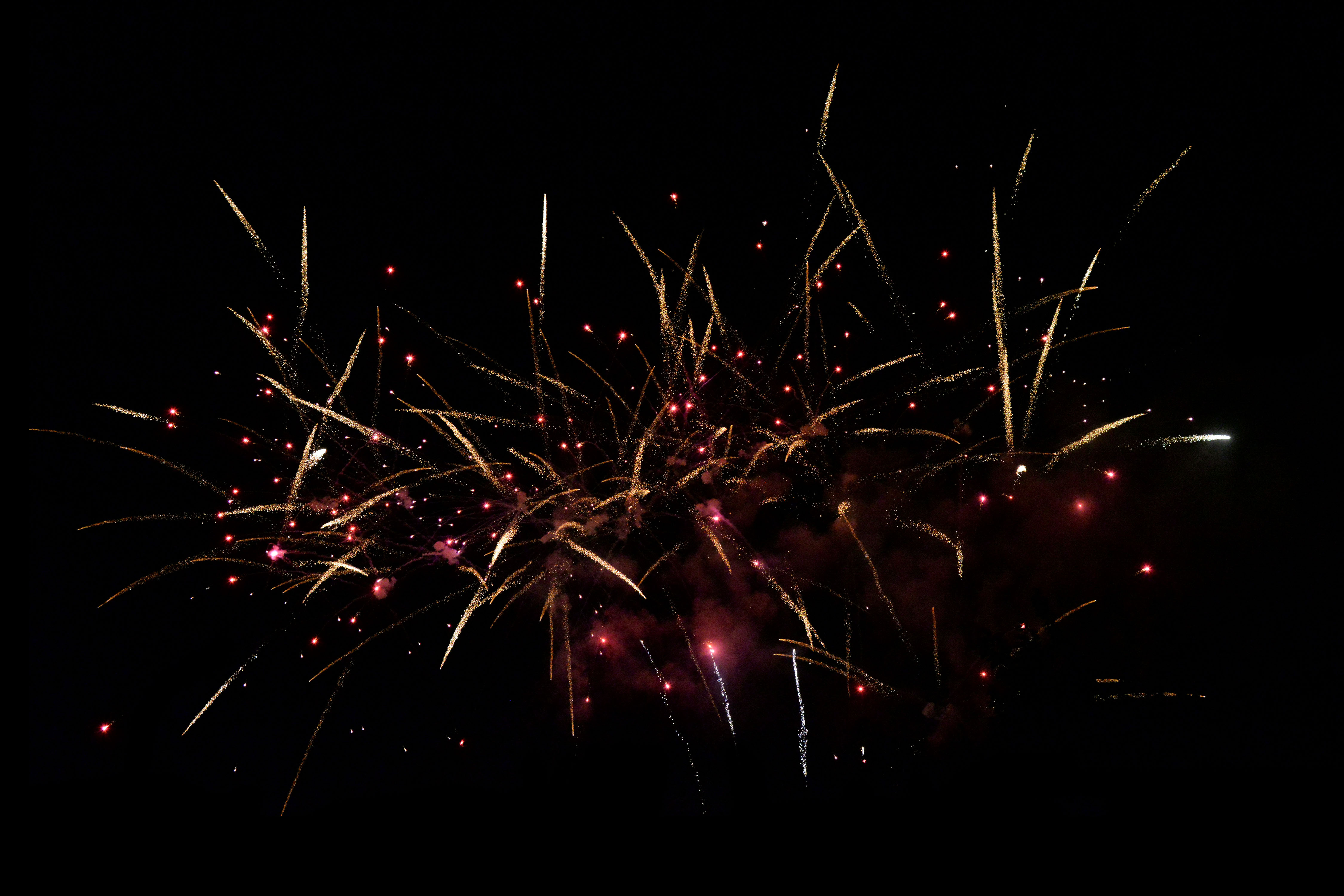 Firework (12)