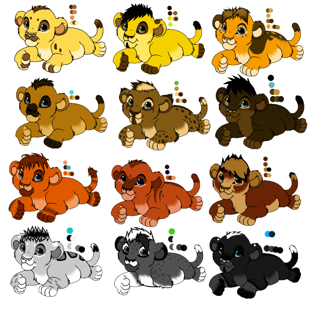 Male Cubs For Adopt (1 LEFT )