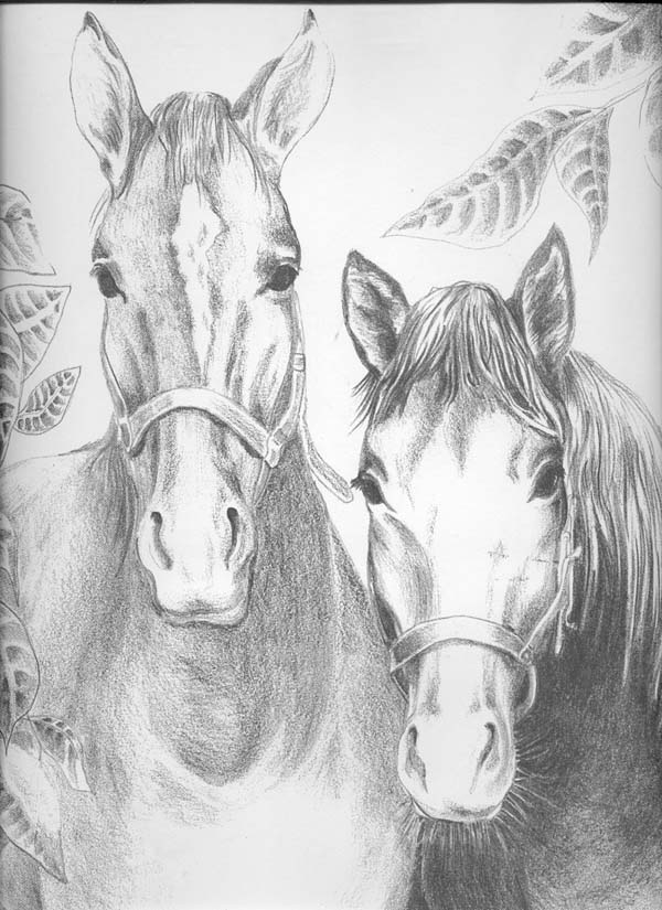 Horses