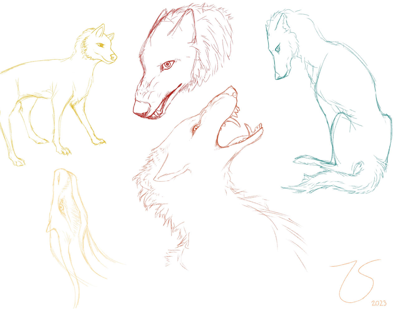 Sketches Highlight