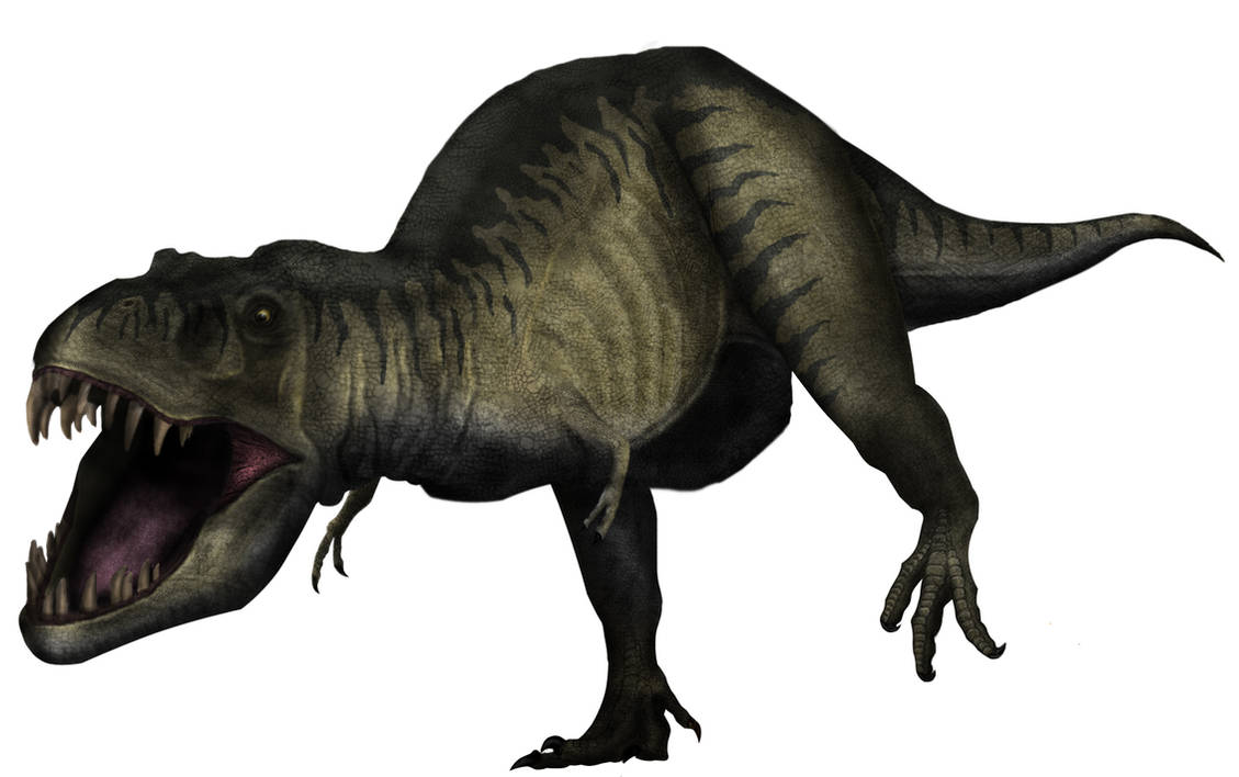 Rick Raptor Tyrannosaurus rex by rick-raptor on DeviantArt
