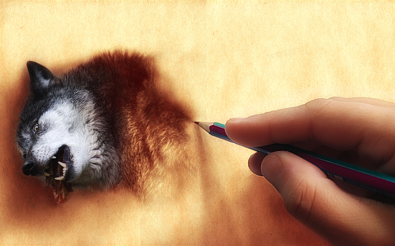 Draw Your Dream Tonight by WhiteSpiritWolf