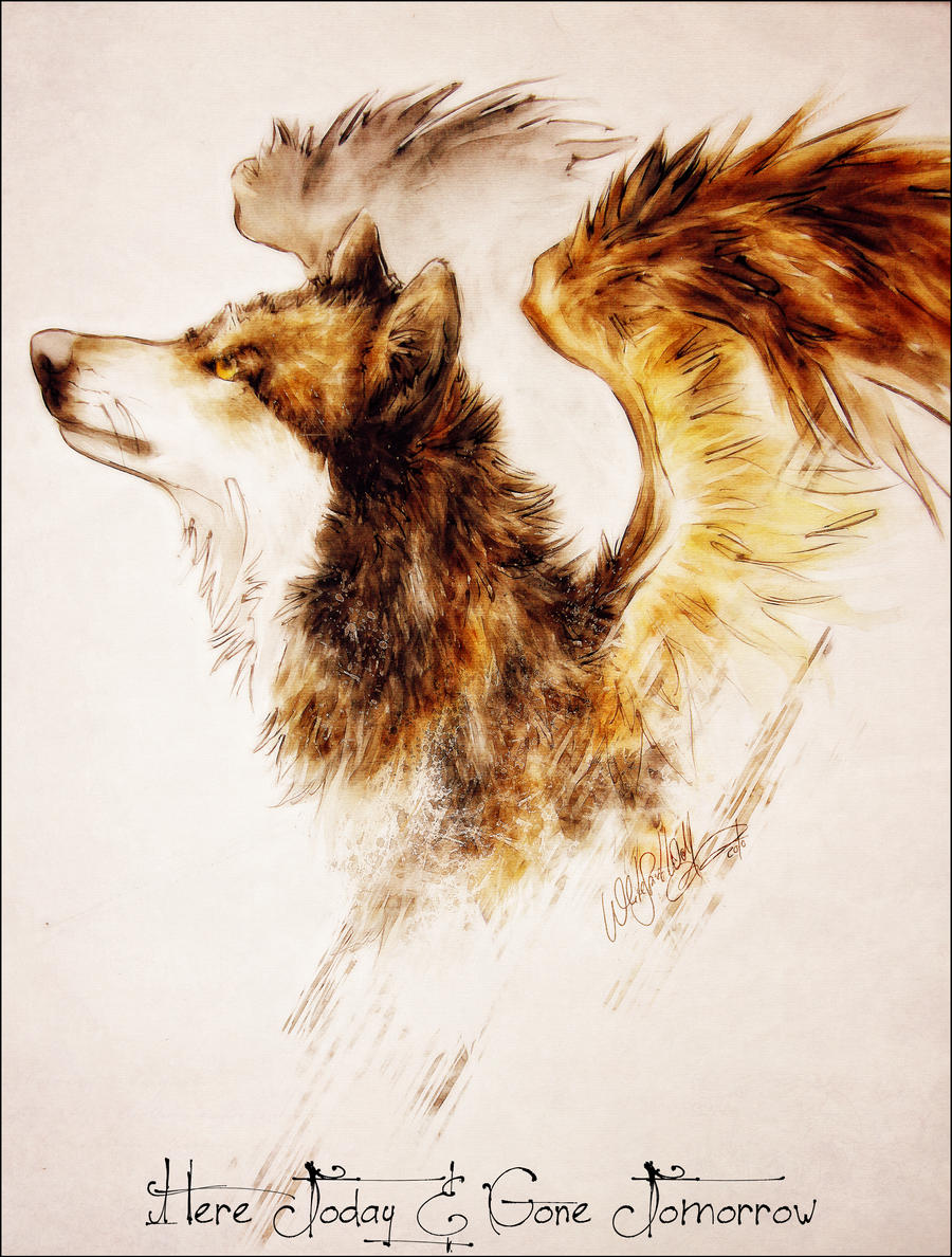 Волки с крыльями фото Art