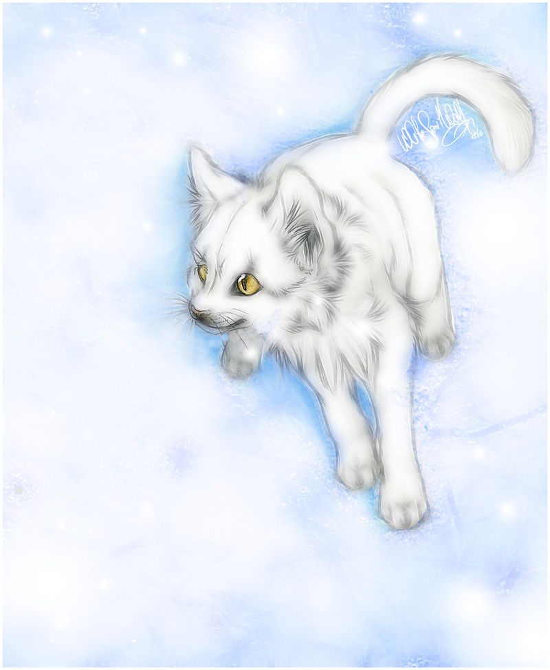 .:White Cat in Snow:. by WhiteSpiritWolf