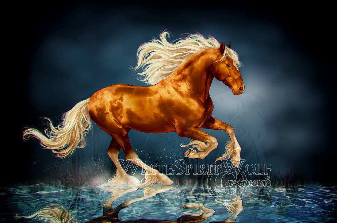 .: Beautiful Stallion :. by WhiteSpiritWolf