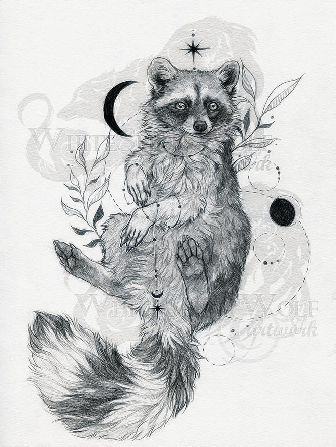 ~Cute Racoon at Night~ by WhiteSpiritWolf on DeviantArt