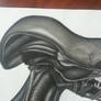 Xenomorph