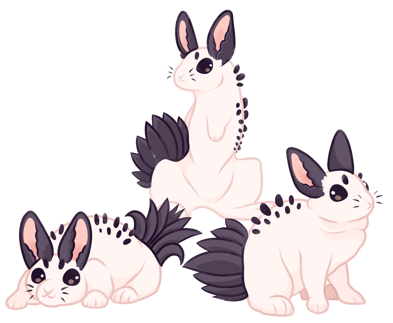 Sea Bunny by Vireh-Riftkin on DeviantArt