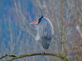 Meitu 20260307 093431672