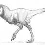 Pseudo-tyrannosaurid