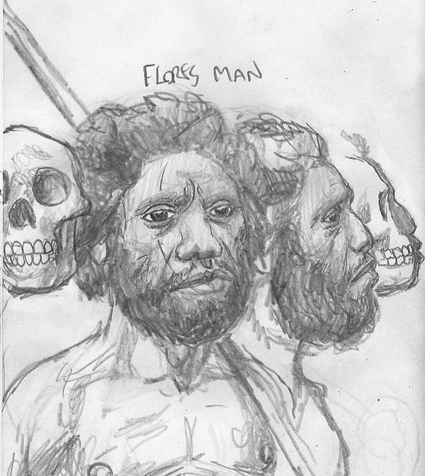 Homo Floresiensis By Povorot On DeviantArt homo-floresiensis-by-povorot-on-deviantart