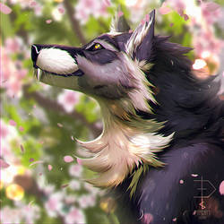 Blossom [ych]