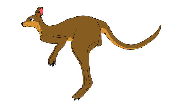Kangaroo, Flat Colored