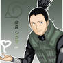 Nara Shikamaru