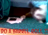 Do A Barrel Roll