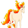 Rapidash